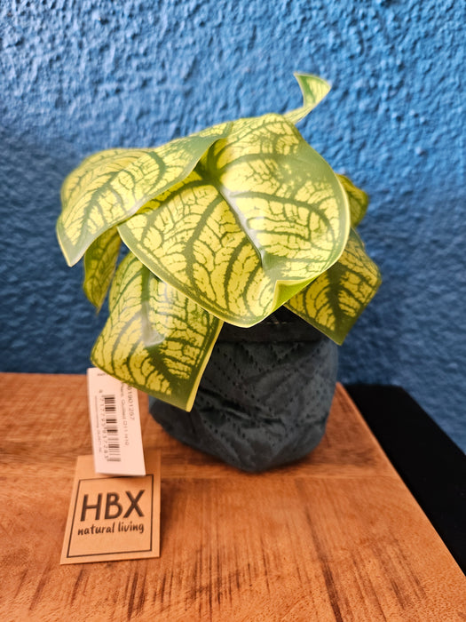 HBX Plantenzak petrol D11 H10